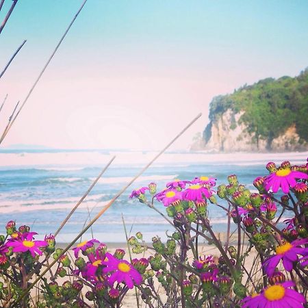Estuary Retreat Уангамата Экстерьер фото