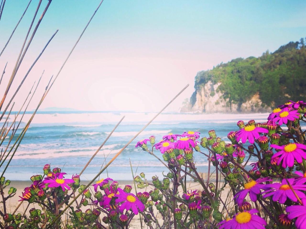 Estuary Retreat Уангамата Экстерьер фото